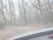 Chihuahua JOI. Instrukcja walenia konia w samochodzie 1/16