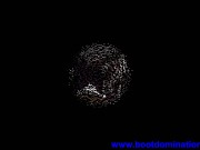 foot worship fetish 9/16