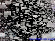 shoe licking fetish 2/16