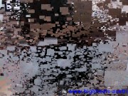 shoe licking fetish 9/16