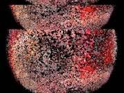 bdsm female domination 14/16