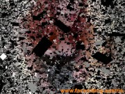 lorena 24 - 7 smother enlsavery 14/16