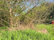 Прекрасный секс на пикнике 15/16