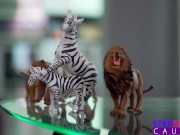 Aria Valencia tries to be the Ring Master of her Stepbro's Dick - S21:E9 1/16