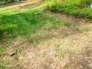 a mouthful of sperm of a married slut while her husband was on a forest run. 1/16