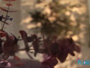 Sexy shaved bisexual girls rubbing their wet pussy 15/16