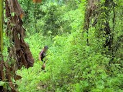 Pinay Pinatuwad sa Sagingan (Beautiful Forest Area) 16/16