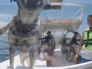 Fucking in a cool farmhouse in the Jungle 15/16