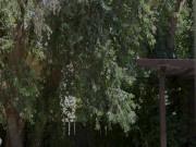 HotwifeXXX - His Super Hot Ebony Wife Sucks It 1/16