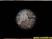 interracial cuckolding 16/16