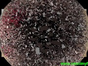 sniffing feet fetish 12/16