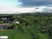 VIXEN Ebony babe loves to fuck 1/16