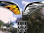 VIRTUALPORN - The Ebony Collection Starring Ameena Green, Babi Star, Willow Ryder And More 14/16