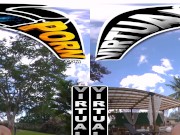 VIRTUALPORN - The Ebony Collection Starring Ameena Green, Babi Star, Willow Ryder And More 8/16