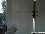 She Gets The Attention She Needs By Fucking Him Hard 2/16