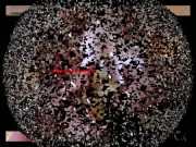 mistress jerking 1/16