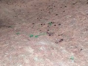 Paseo en bicicleta terminó con sexo duro en medio del bosque con mi nuevo amigo. 3/16