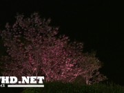 Seductive 18 Year Old Japanese Chicks in an Adult Video 16/16