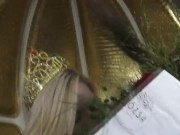 spoiled princess bridget destroy roses 3/16