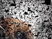 Mistress And Her Petpet play japanese cruel dom 1/16