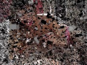 young asian mistress pov sucking 1/16