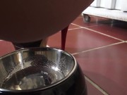 piss drinking in class room 3/16