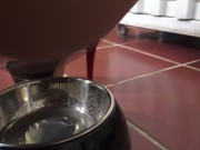 piss drinking in class room 4/16