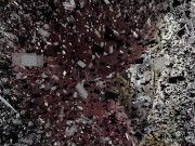 slaves in pee challenge 1/16