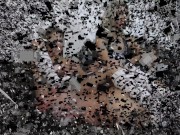 brat girls sock smelling domination 1/16