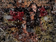 madame carla pov femdom 1/16