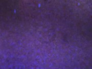 Pretty Transgender Sucking Cock & Riding Cock POV Video 1/16