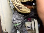 Rough Sex Outside with Ebony Babe 12/16