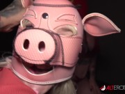 Leya gets a piggy welcome with Sabien, Gemini and Aspen 5/16